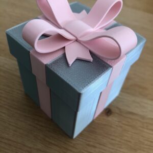 Cadeaudoosje roze met zilver